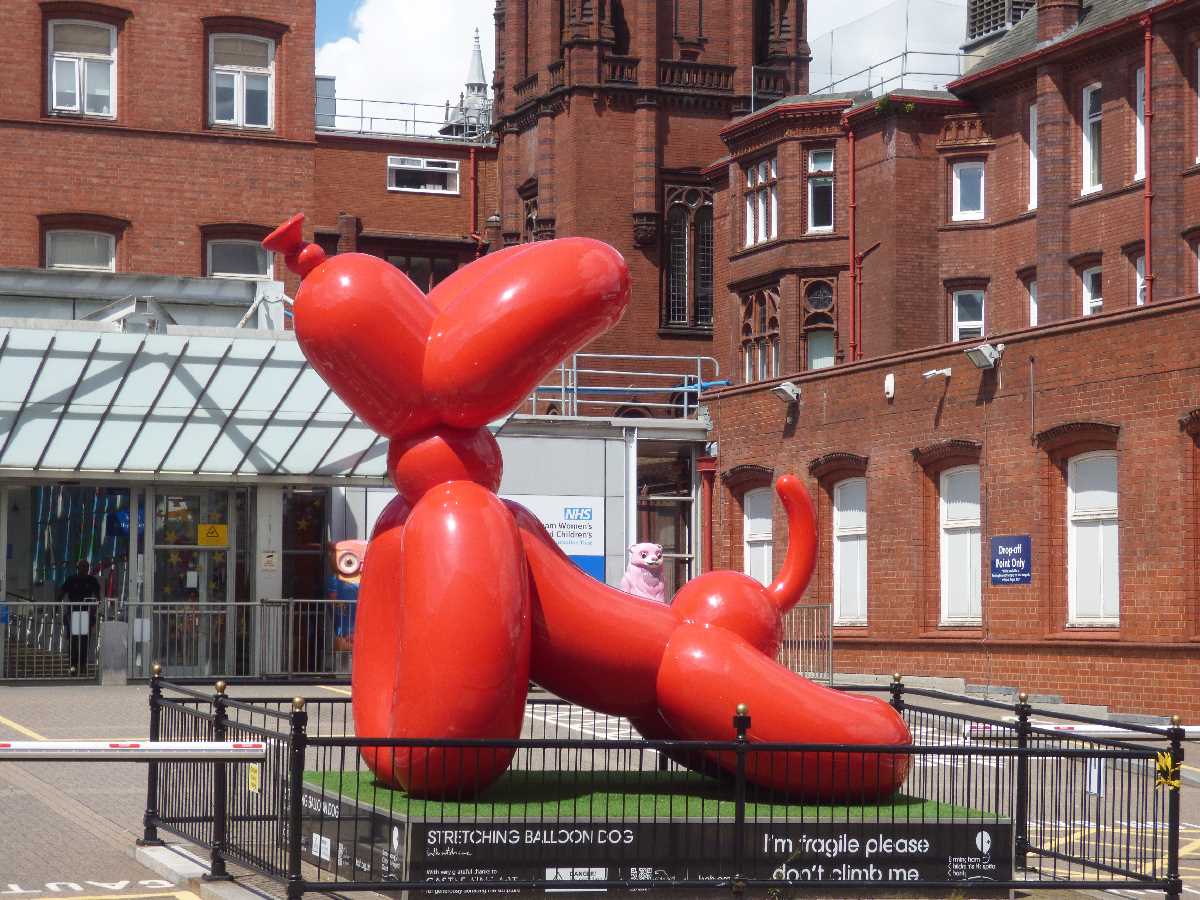 Stretching Balloon Dog at Birmingham Children`s Hospital